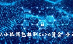 如何从小狐钱包提取Core资金：全面指南