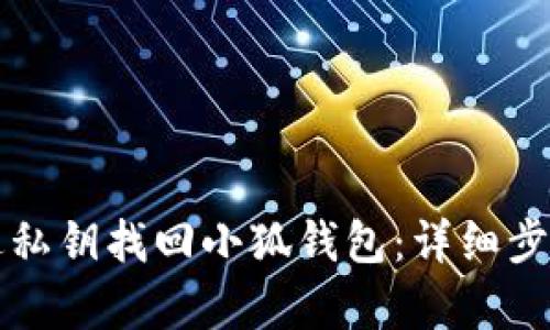 如何通过私钥找回小狐钱包：详细步骤与解析