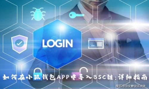 如何在小狐钱包APP中导入BSC链：详细指南