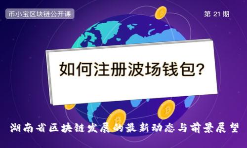 湖南省区块链发展的最新动态与前景展望