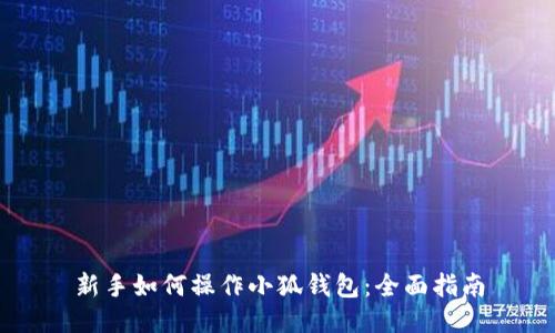 新手如何操作小狐钱包：全面指南