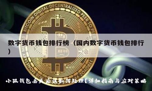 小狐钱包丢失后该如何处理？详细指南与应对策略