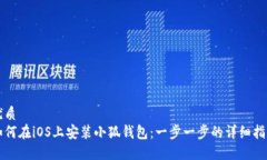 优质如何在iOS上安装小狐