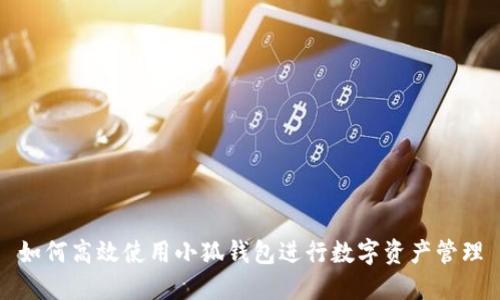 如何高效使用小狐钱包进行数字资产管理