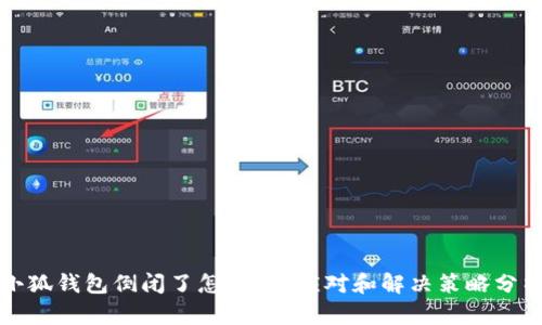 小狐钱包倒闭了怎么办？应对和解决策略分析