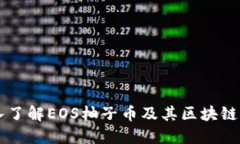 深入了解EOS柚子币及其区