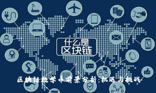 区块链数学币前景分析：机遇与挑战