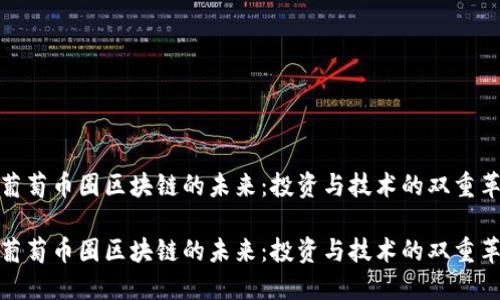 红葡萄币圈区块链的未来：投资与技术的双重革命

红葡萄币圈区块链的未来：投资与技术的双重革命