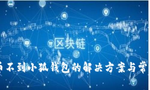 中本通提币不到小狐钱包的解决方案与常见问题解析