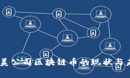 33复杂美公司区块链币的现状与未来展望
