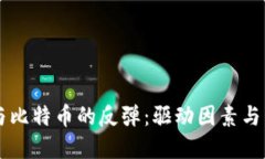 区块链与比特币的反弹：