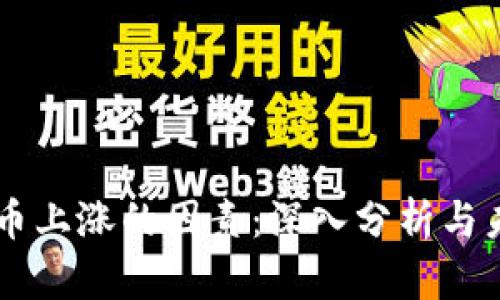 区块链币上涨的因素：深入分析与未来展望