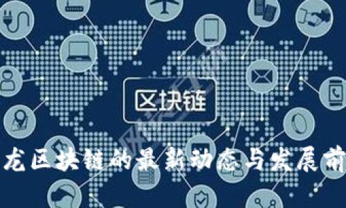 沙龙区块链的最新动态与发展前景
