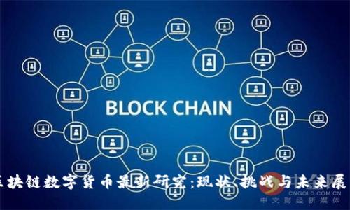 区块链数字货币最新研究：现状、挑战与未来展望