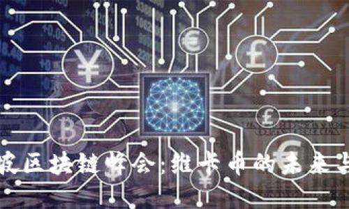 新加坡区块链峰会：维卡币的未来与影响