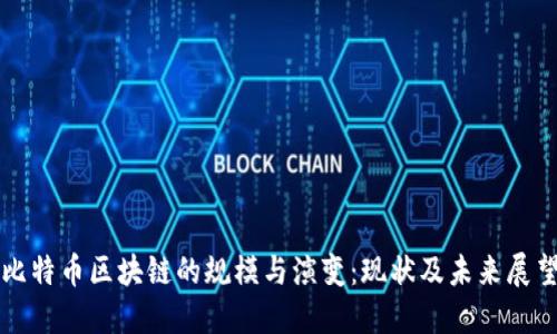 比特币区块链的规模与演变：现状及未来展望