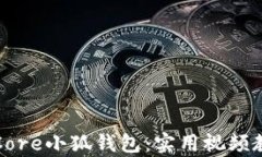 如何使用Core小狐钱包：实用视频教程全解析