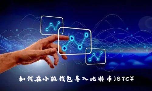 如何在小狐钱包导入比特币（BTC）