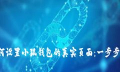  如何设置小狐钱包的真实页面：一步步指导