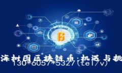 探秘上海树图区块链币：机遇与挑战并存