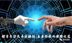 探索长沙无币区块链：未来科技的璀璨之花