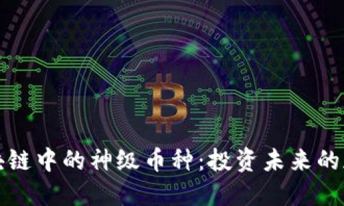 探索区块链中的神级币种：投资未来的加密宝藏