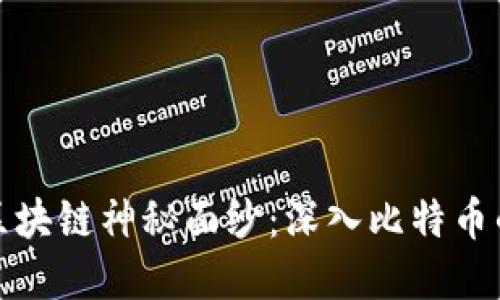 揭开区块链神秘面纱：深入比特币的世界