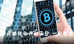 : 揭开比特币底层区块链的神秘面纱：一起探索数