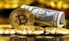 s小狐钱包/s（小狐狸钱包，或称MetaMask）是一个流