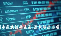探索Pi币区块链的未来：最