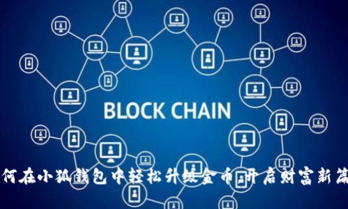 如何在小狐钱包中轻松升级金币，开启财富新篇章