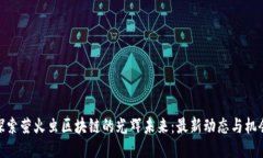 探索萤火虫区块链的光辉