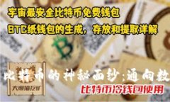 揭开区块链与比特币的神秘面纱：通向数字货币