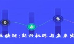 : LAC区块链：新兴机遇与未来发展动力