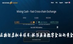 解密区块链虚拟币项目：抓住未来数字金融的黄