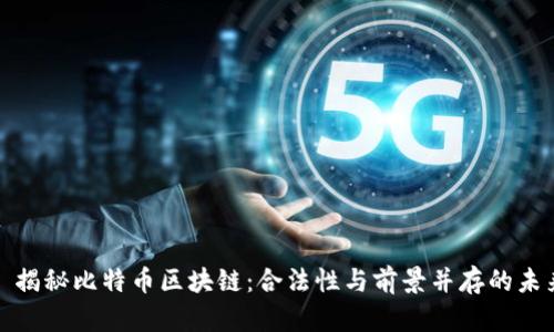 : 揭秘比特币区块链：合法性与前景并存的未来
