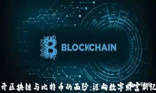 
揭开区块链与比特币的面纱：迈向数字财富新纪元