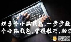 如何有效管理多个小狐钱