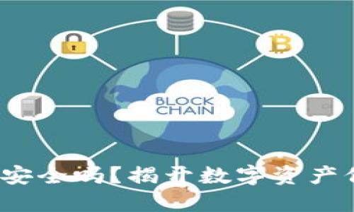 : 小狐加密钱包安全吗？揭开数字资产保护的神秘面纱！