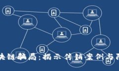 揭露区块链骗局：揭示传