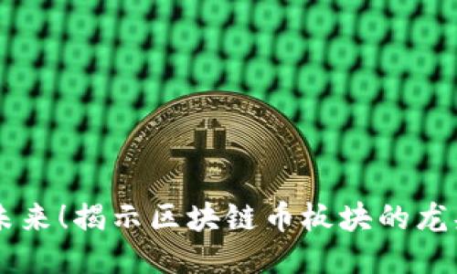 冲击未来！揭示区块链币板块的龙头魅力