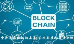 探索沙币区块链的未来：