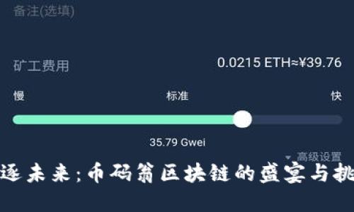 追逐未来：币码翁区块链的盛宴与挑战