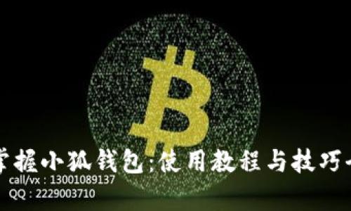 轻松掌握小狐钱包：使用教程与技巧全解析