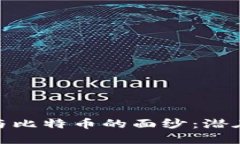 揭开区块链与比特币的面纱：潜在风险与机遇