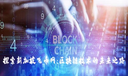 探索新加坡飞币网：区块链技术的未来之路