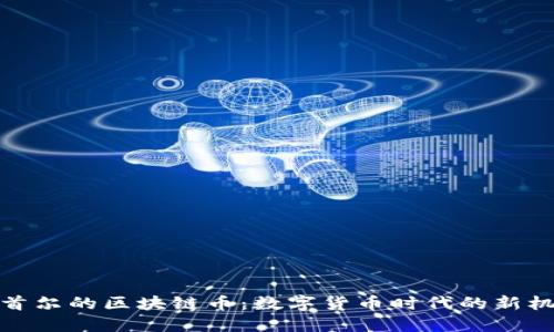 探索韩国首尔的区块链币：数字货币时代的新机遇与挑战