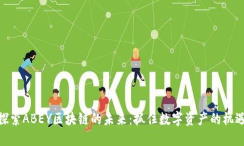 探索ABEY区块链的未来：抓住数字资产的机遇