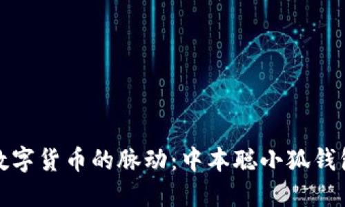 把握未来数字货币的脉动：中本聪小狐钱包完整教程