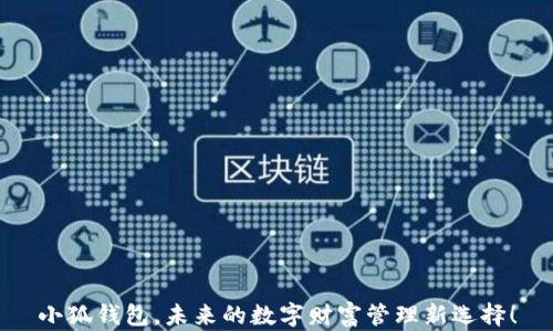 
小狐钱包，未来的数字财富管理新选择！